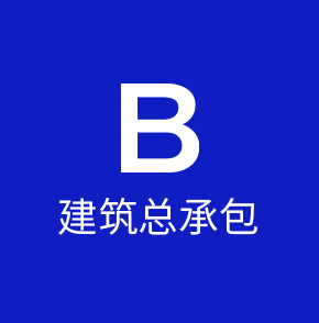 B执照